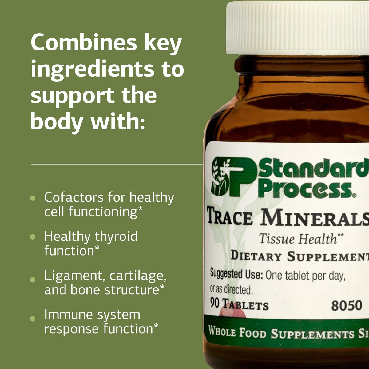 Standard Process Trace Minerals-B12 – Schilddrüsen- und Zellfunktionsunterstützung mit Jod, Zink und Kupfer – Knorpel- und Knochengesundheit – 90 Tabletten