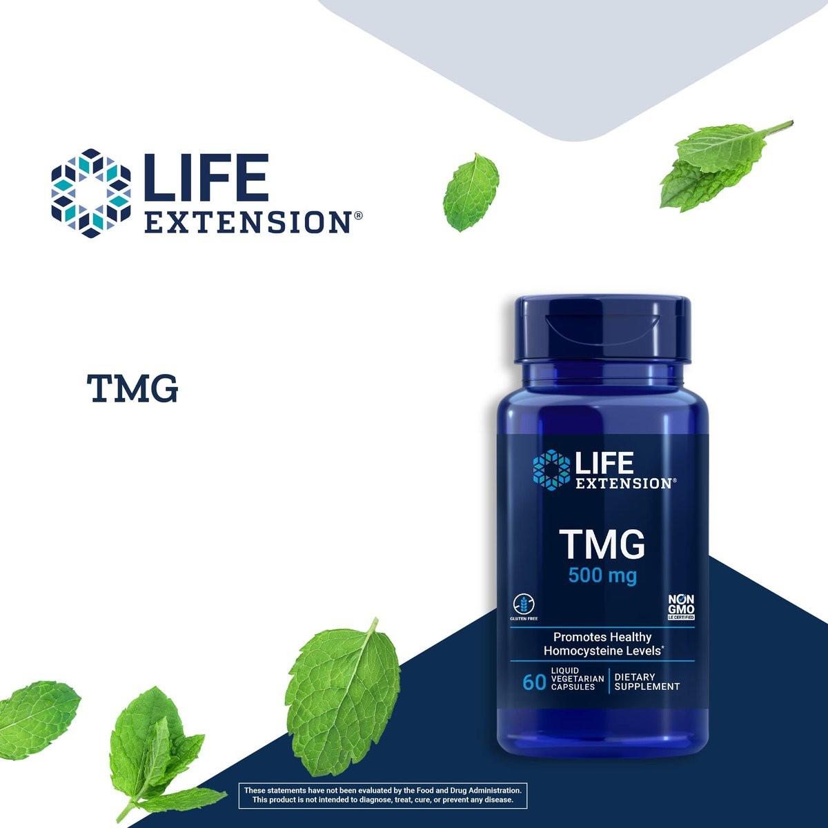 Life Extension TMG – Trimethylglycin für gesunde Homocystein-Werte, Non-GMO, glutenfrei, vegetarisch, 60 Kapseln