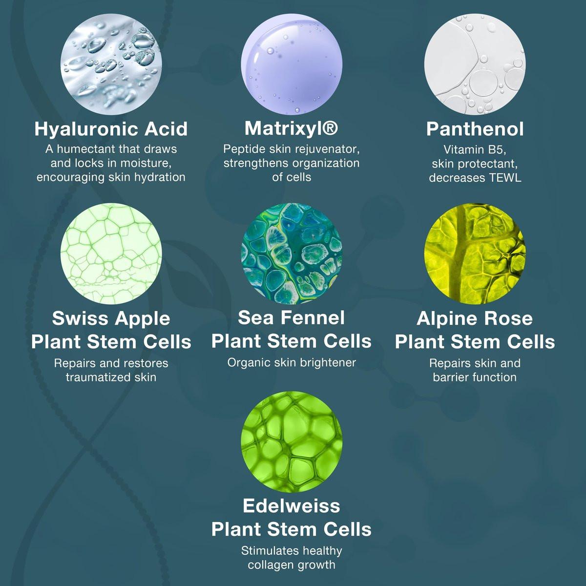 Lira Clinical BIO Hydra Infusion – Feuchtigkeitsspendendes Gesichtsserum mit Hyaluronsäure, Pflanzenstammzellen und Mineralien – Leichtes Gesichtsserum für glatte, erfrischte Haut – Reisegröße tägliche Hautpflege – 30 ml