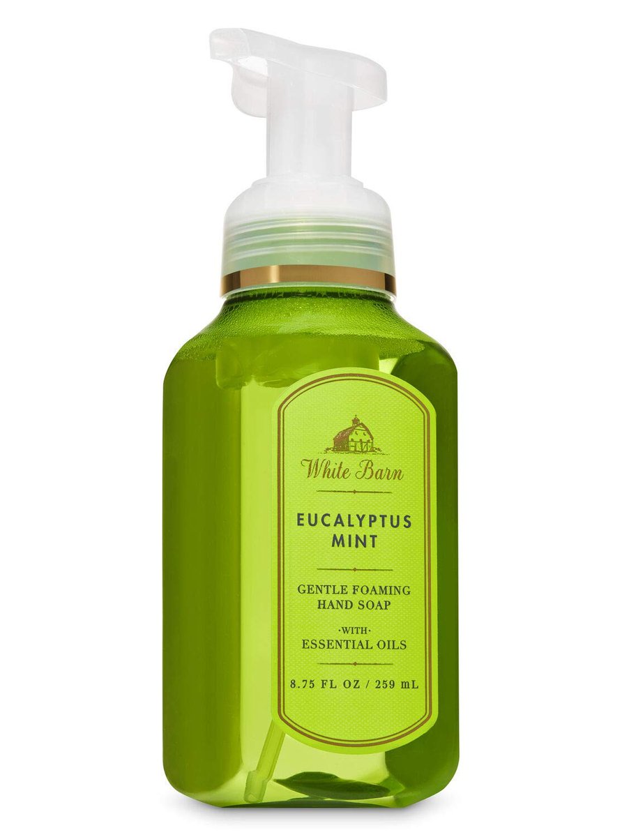 White Barn Eucalyptus Mint Sanfte Schaumhandseife – Neue Verpackung, 8,75 Fl Oz
