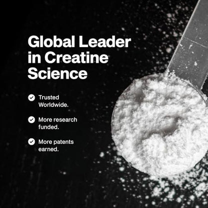 MuscleTech Kreatin Monohydrat Pulver, Platin Pure – Ungeschmacktes mikronisiertes Kreatin für Männer & Frauen – Nahrungsergänzungsmittel für Leistung, Muskelregeneration & Muskelaufbau (80 Portionen)