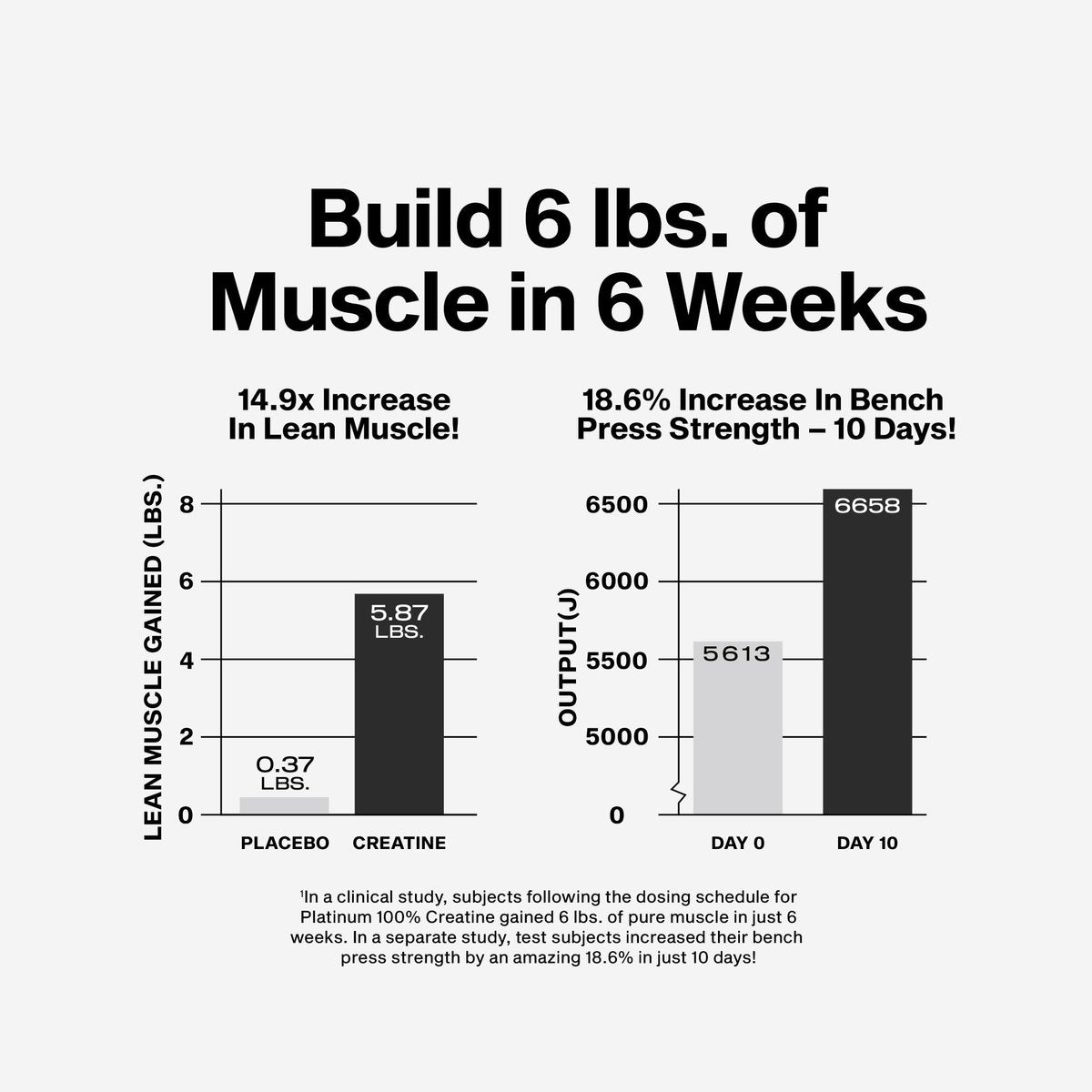 MuscleTech Kreatin Monohydrat Pulver, Platin Pure – Ungeschmacktes mikronisiertes Kreatin für Männer & Frauen – Nahrungsergänzungsmittel für Leistung, Muskelregeneration & Muskelaufbau (80 Portionen)