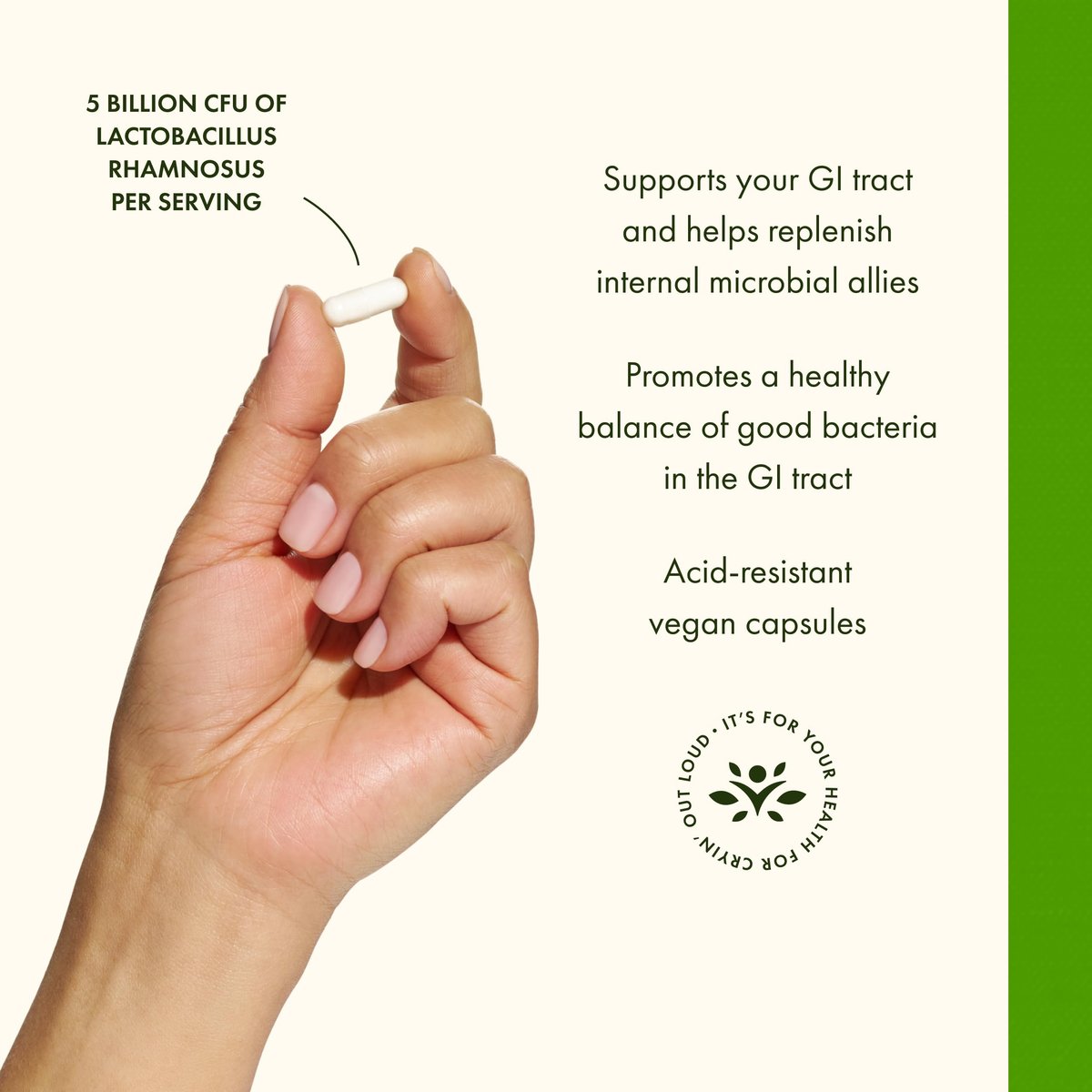 Swanson Lactobacillus Rhamnosus mit FOS - 5 Milliarden KBE - Unterstützung für die Verdauungsgesundheit mit Fructooligosacchariden - Probiotikum für die Magen-Darm-Gesundheit* - Vegan - 60 vegane Kapseln