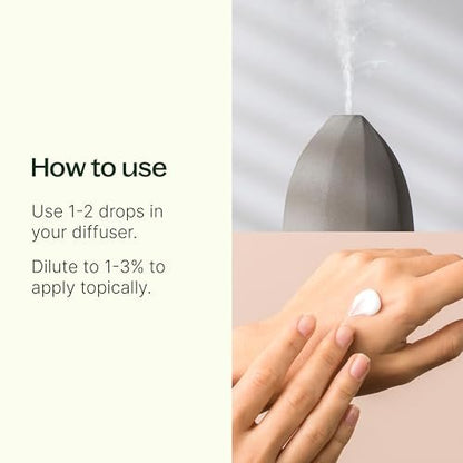 Plant Therapy Vetiver Ätherisches Öl, 10 ml – 100% rein und unverdünnt, ideal für Diffuser und DIY Hautpflege