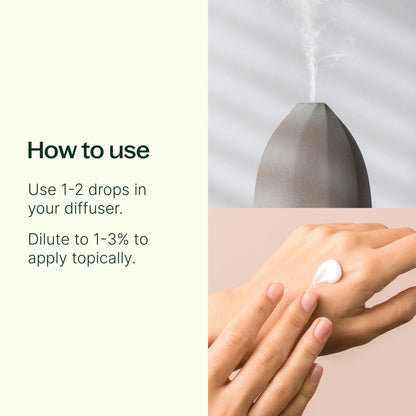 Plant Therapy Vetiver Ätherisches Öl, 10 ml – 100% rein und unverdünnt, ideal für Diffuser und DIY Hautpflege