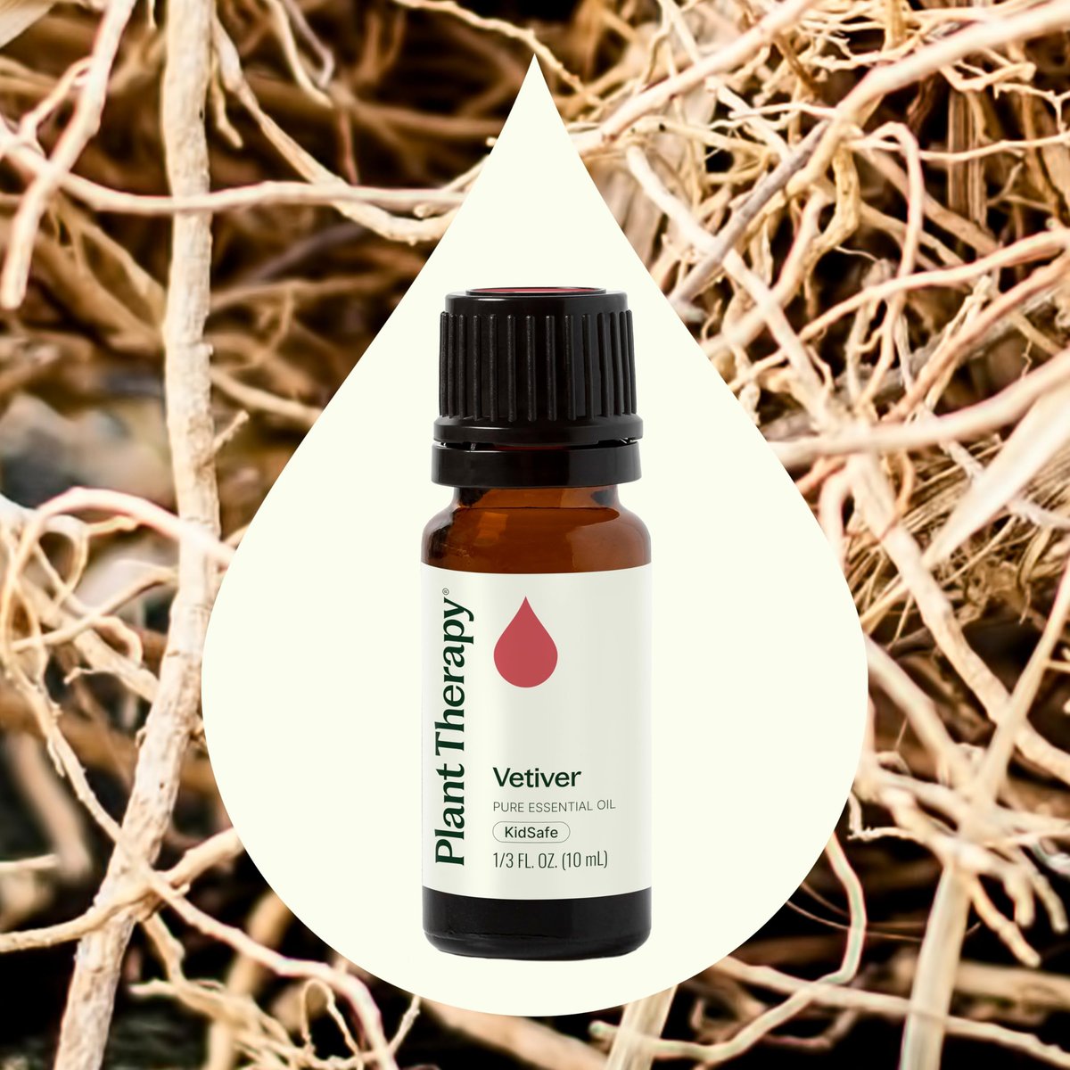 Plant Therapy Vetiver Ätherisches Öl, 10 ml – 100% rein und unverdünnt, ideal für Diffuser und DIY Hautpflege