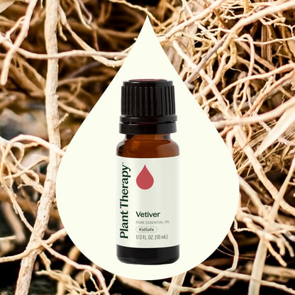 Plant Therapy Vetiver Ätherisches Öl, 10 ml – 100% rein und unverdünnt, ideal für Diffuser und DIY Hautpflege