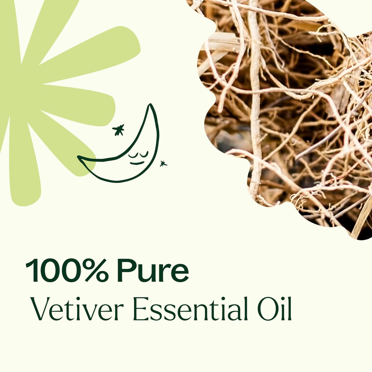Plant Therapy Vetiver Ätherisches Öl, 10 ml – 100% rein und unverdünnt, ideal für Diffuser und DIY Hautpflege