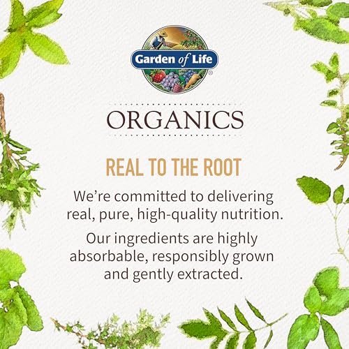 Garden of Life Organics Golden Milk Pulver – 44 mg Kurkuma Curcumin (95 % Curcuminoide), Ashwagandha – Bio, vegan, glutenfrei, 30 Portionen