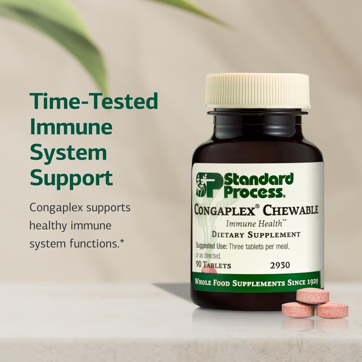 Standard Process Congaplex Kautabletten - Immunsystem Unterstützung mit Vitamin A - Unterstützt Thymusdrüse & Proteinsynthese - Laktose- & Sojafrei - 90 Tabletten (30 Portionen)