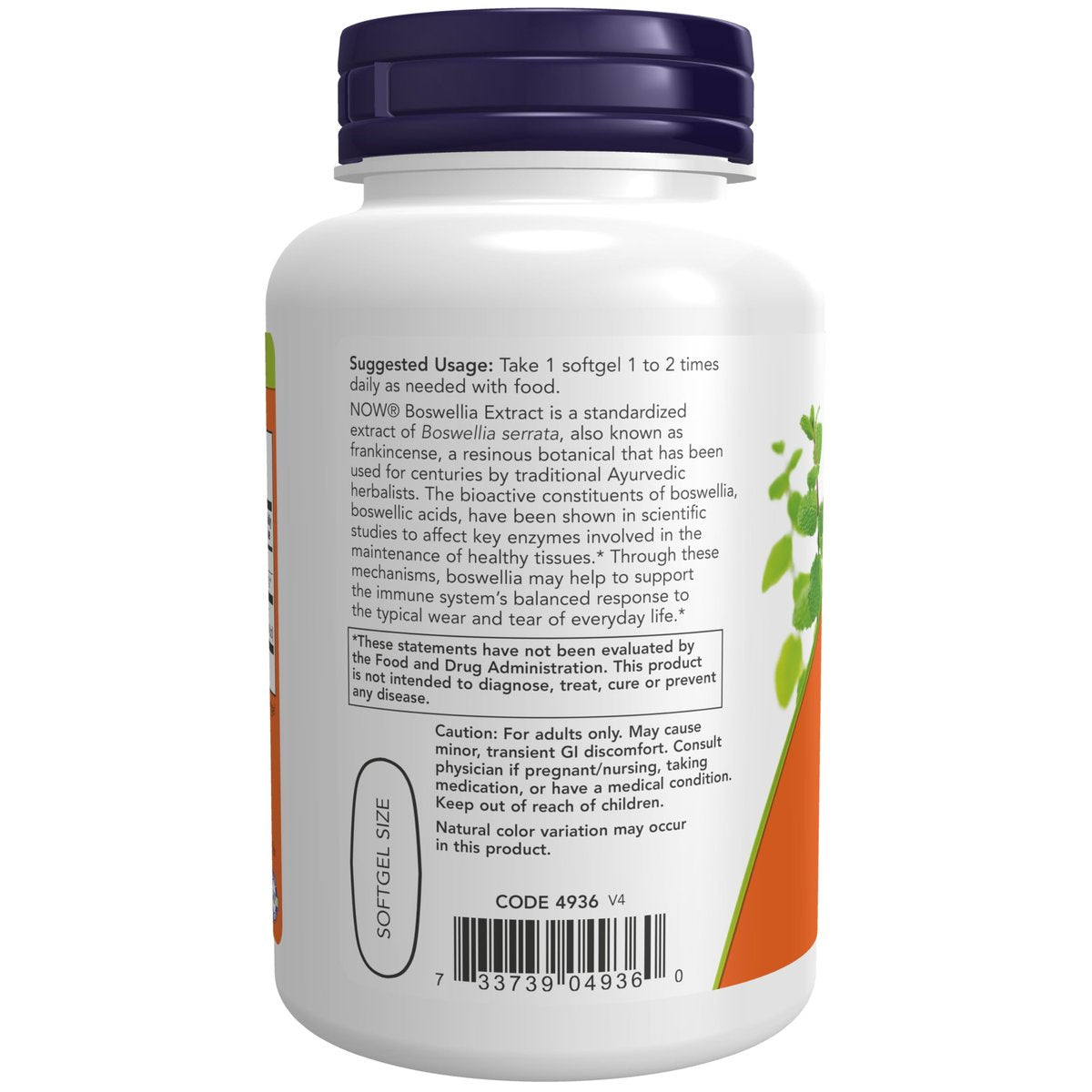 NOW Foods Boswellia-Extrakt 500 mg in MCT-Öl-Basis, 90 Softgels – Unterstützt eine ausgewogene Immunantwort*