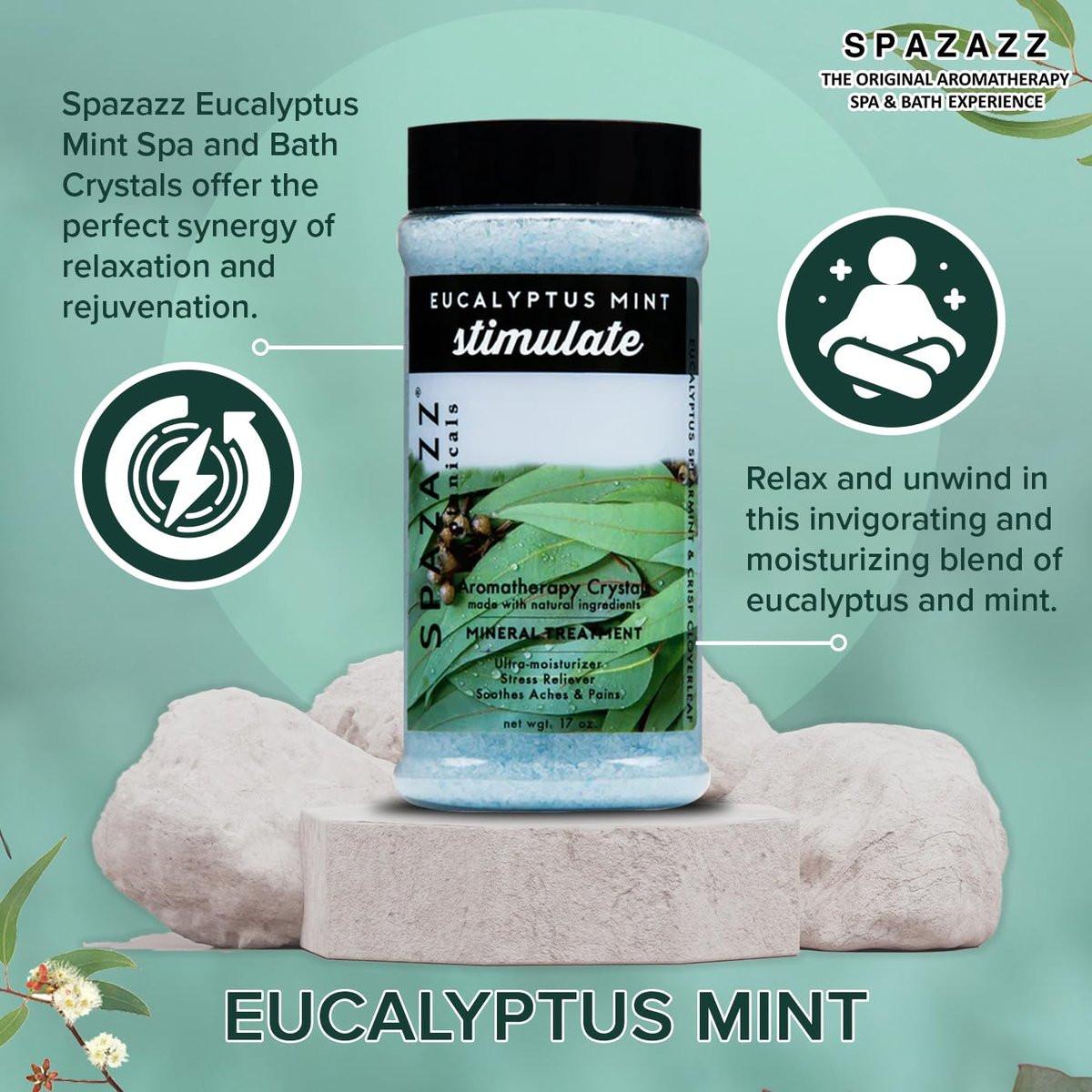 Spazazz Eukalyptus Minze Aktivierendes Spa- und Badesalz – 17 Unzen Kristalle und Badesalze für Whirlpool und Badewanne – Aromatherapie-Duftsalze zur Entspannung