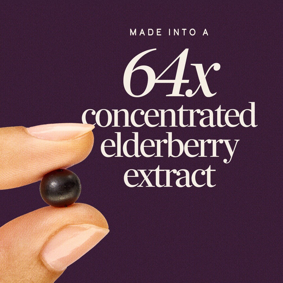 Nature's Way Sambucus Holunderbeeren Gummibärchen – Immununterstützung für Erwachsene & Kinder ab 4 Jahren mit Holunderextrakt, Vitamin C, Vitamin D3 und Zink, 60 Gummibärchen