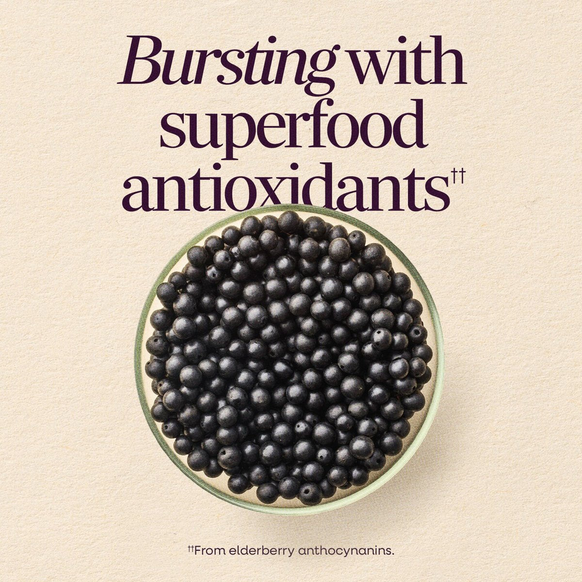 Nature's Way Sambucus Holunderbeeren Gummibärchen – Immununterstützung für Erwachsene & Kinder ab 4 Jahren mit Holunderextrakt, Vitamin C, Vitamin D3 und Zink, 60 Gummibärchen