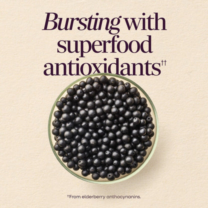 Nature's Way Sambucus Holunderbeeren Gummibärchen – Immununterstützung für Erwachsene & Kinder ab 4 Jahren mit Holunderextrakt, Vitamin C, Vitamin D3 und Zink, 60 Gummibärchen