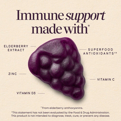 Nature's Way Sambucus Holunderbeeren Gummibärchen – Immununterstützung für Erwachsene & Kinder ab 4 Jahren mit Holunderextrakt, Vitamin C, Vitamin D3 und Zink, 60 Gummibärchen