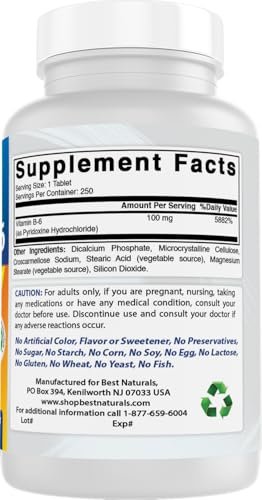 Best Naturals Vitamin B6 Tabletten, 100 mg, 250 Stück