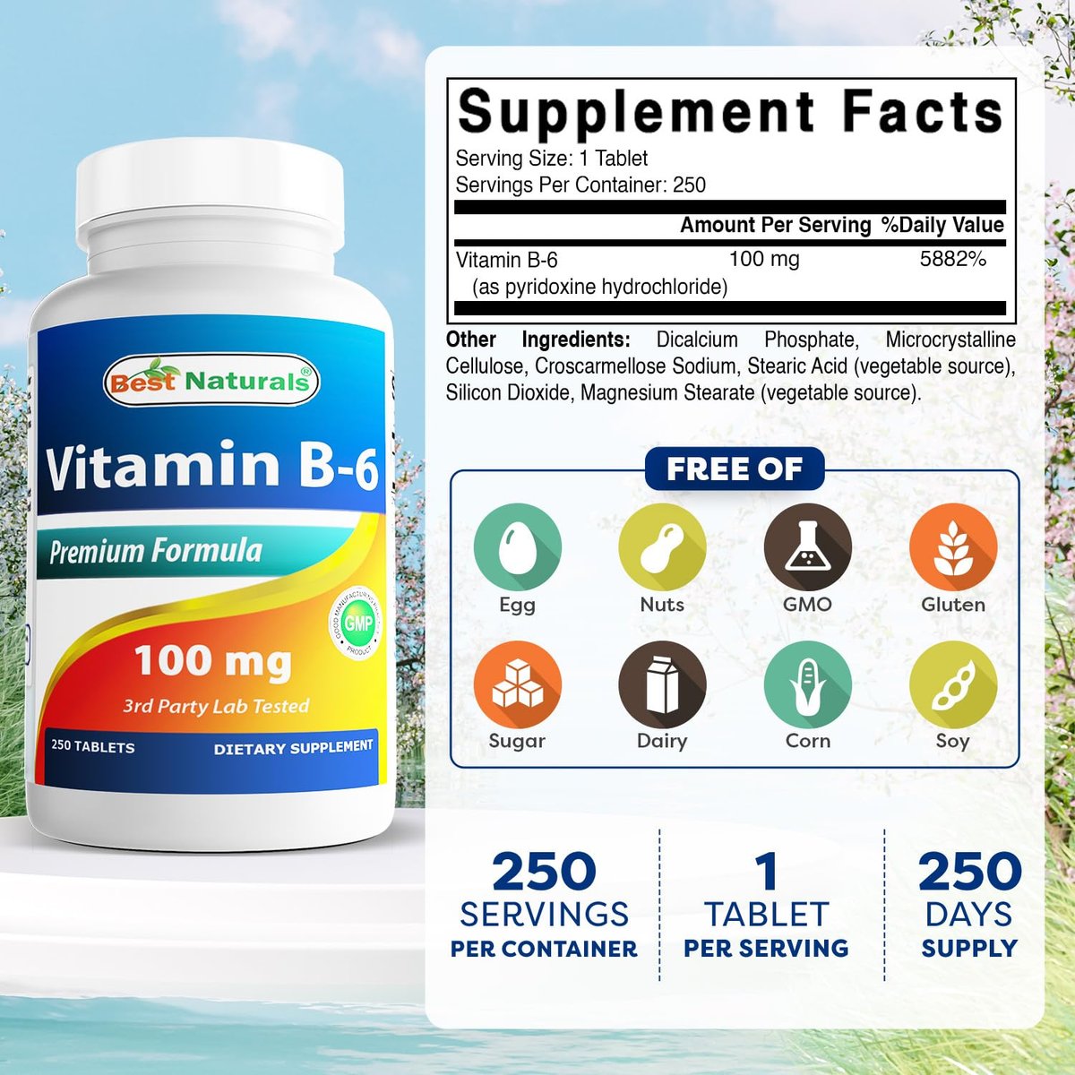 Best Naturals Vitamin B6 Tabletten, 100 mg, 250 Stück