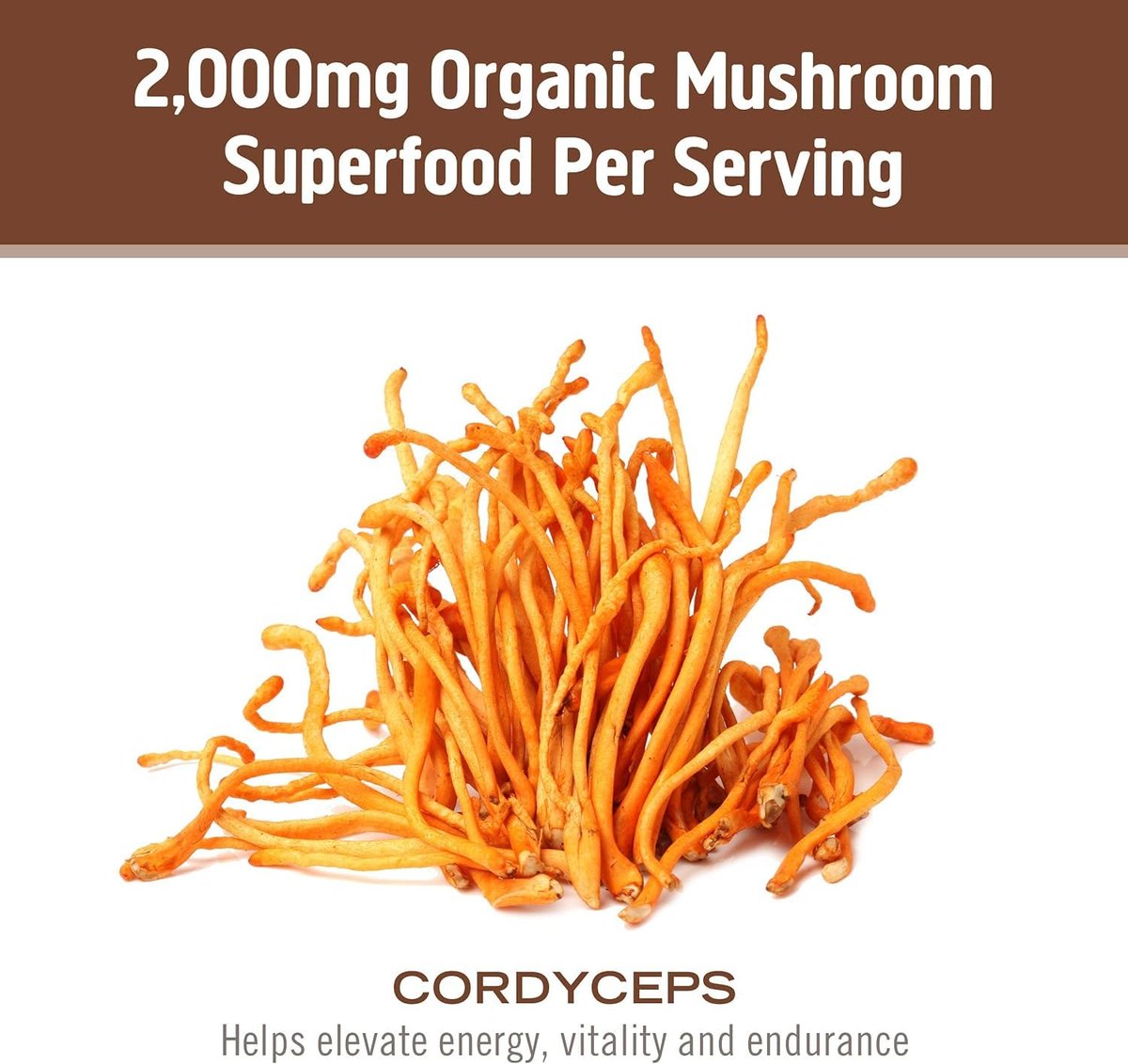 OM MUSHROOM SUPERFOOD Cordyceps Bio-Pulver – 3,5 Unzen (50 Portionen) – Unterstützt Energie, Kraft, Ausdauer und sportliche Leistung