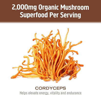 OM MUSHROOM SUPERFOOD Cordyceps Bio-Pulver – 3,5 Unzen (50 Portionen) – Unterstützt Energie, Kraft, Ausdauer und sportliche Leistung