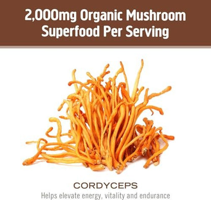 OM MUSHROOM SUPERFOOD Cordyceps Bio-Pulver – 3,5 Unzen (50 Portionen) – Unterstützt Energie, Kraft, Ausdauer und sportliche Leistung