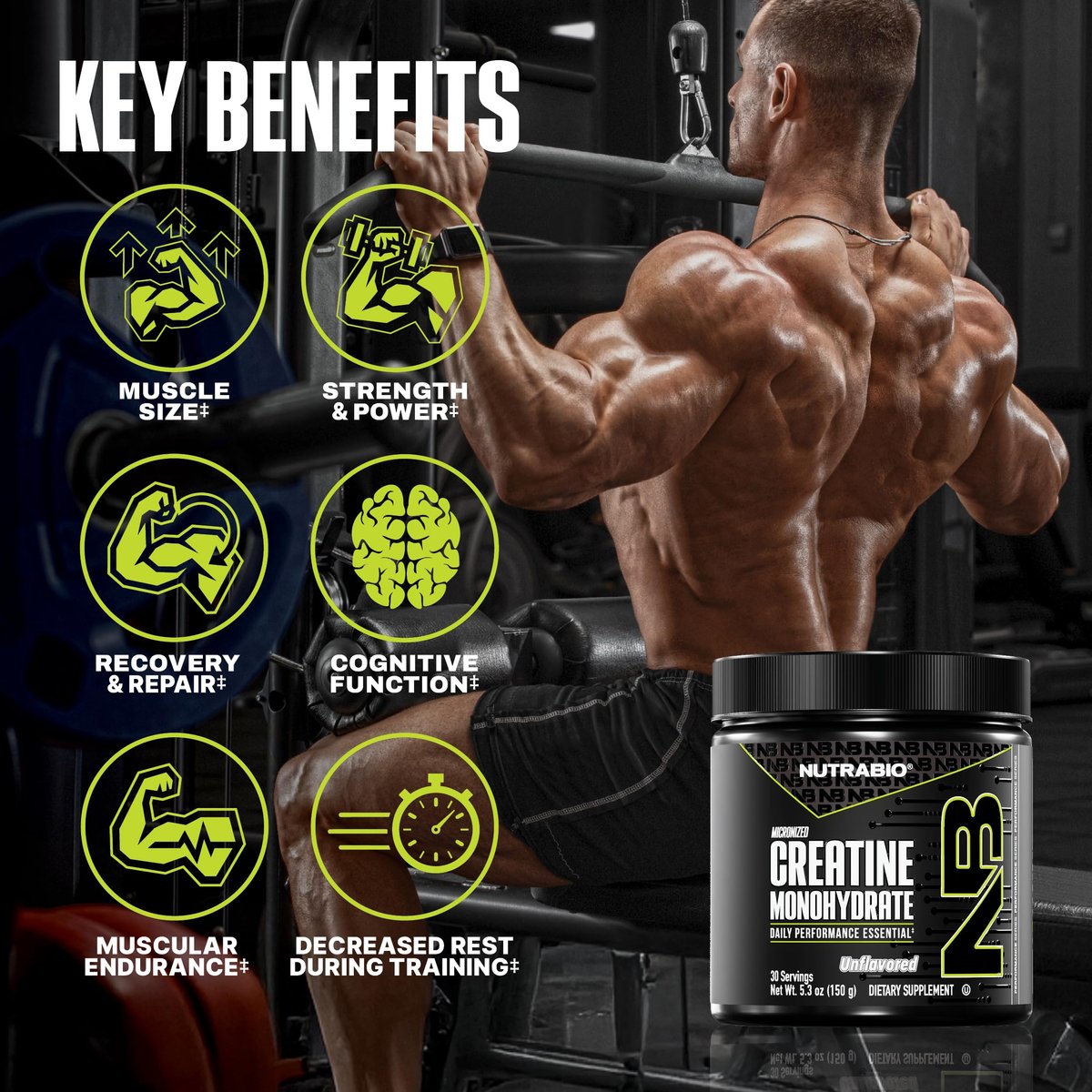NutraBio Pure Micronized Creatine Monohydrat Pulver – ungesüßt, 150 g – unterstützt Muskelenergie, Erholung und Kraft – HPLC-getestetes Kreatinpulver für Männer und Frauen