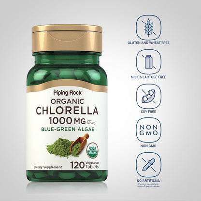 Piping Rock Chlorella 1000 mg – 120 Tabletten – Organische Blaualgen mit gebrochener Zellwand – Non-GMO, Glutenfrei