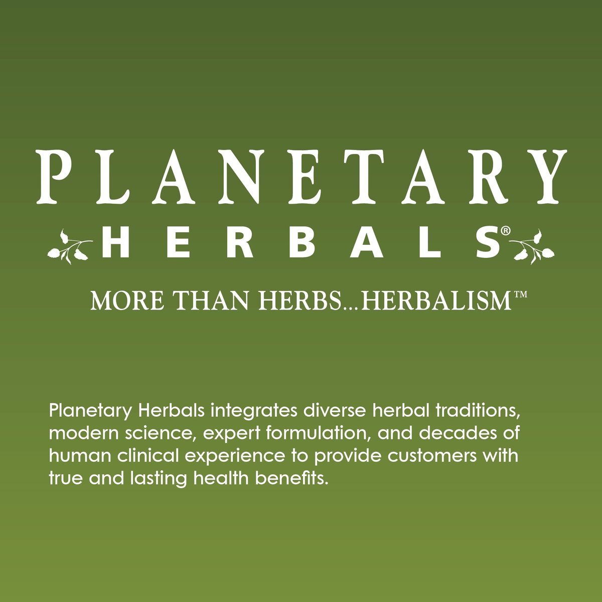 Planetary Herbals Triphala Internal Cleanser 1000mg – 180 Tabletten für die Gesundheit des Magen-Darm-Trakts
