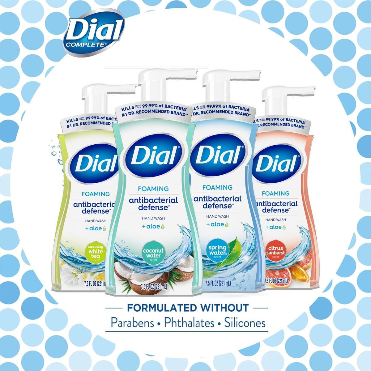 Dial Complete Schaumendes Antibakterielles Handwaschmittel Sortiment 4er-Pack – Verschiedene Düfte, je 222 ml