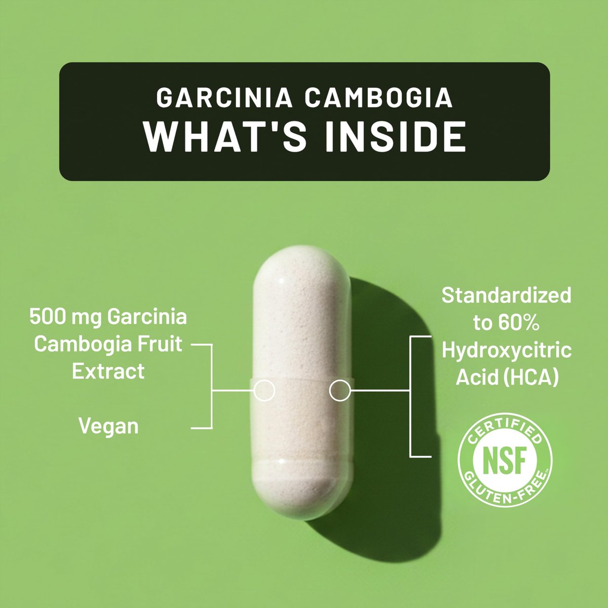 Naturewise Garcinia Cambogia - 60% HCA Konzentration, pflanzliche Unterstützung für Gewichtsziele und Energielevel - Vegan, Nicht-GVO, Glutenfrei - 90 Kapseln [1-3 Monatsvorrat]