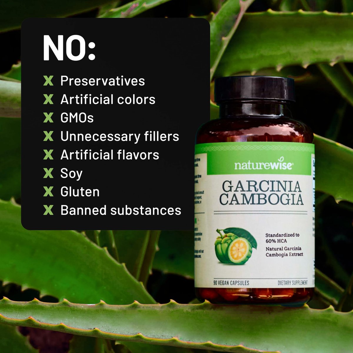Naturewise Garcinia Cambogia - 60% HCA Konzentration, pflanzliche Unterstützung für Gewichtsziele und Energielevel - Vegan, Nicht-GVO, Glutenfrei - 90 Kapseln [1-3 Monatsvorrat]