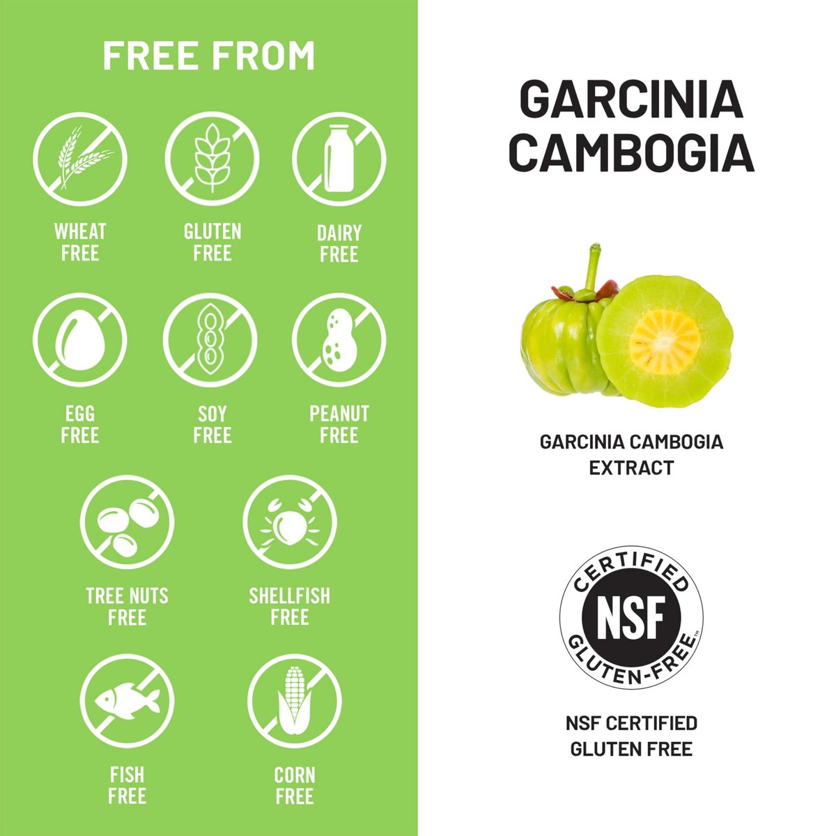 Naturewise Garcinia Cambogia - 60% HCA Konzentration, pflanzliche Unterstützung für Gewichtsziele und Energielevel - Vegan, Nicht-GVO, Glutenfrei - 90 Kapseln [1-3 Monatsvorrat]