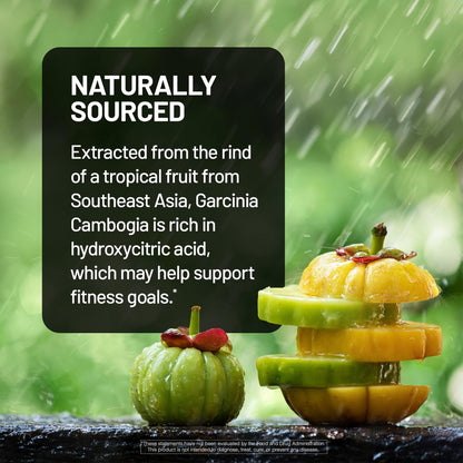 Naturewise Garcinia Cambogia - 60% HCA Konzentration, pflanzliche Unterstützung für Gewichtsziele und Energielevel - Vegan, Nicht-GVO, Glutenfrei - 90 Kapseln [1-3 Monatsvorrat]