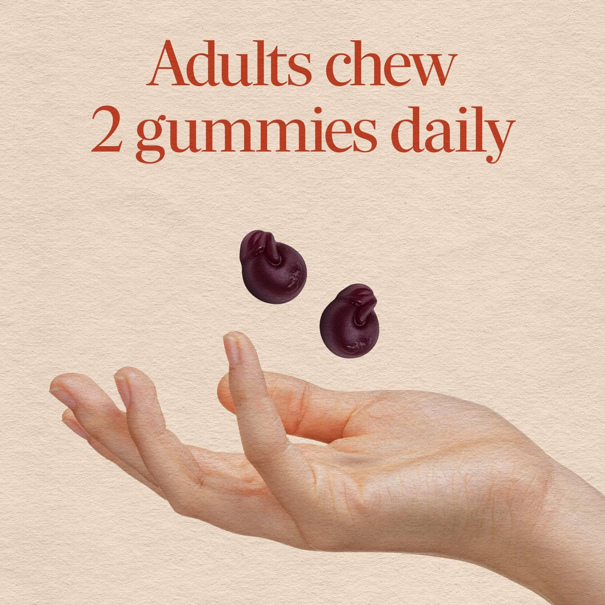Nature's Way CranRx Cranberry Gummies – Unterstützung für die Harnwegsgesundheit mit Vitamin C, D-Mannose und bioaktivem Cranberry-Fruchtextrakt, Beerengeschmack, 60 Gummis