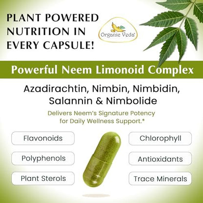 Organic Veda Neem Kapseln – Pflanzliches Nahrungsergänzungsmittel für reine Haut, Immunsystem & Darmgesundheit für Männer & Frauen - Single Origin True Green Neem Blattpulver - Reinigendes & klärendes Ayurveda-Kraut, 120 vegane Kapseln