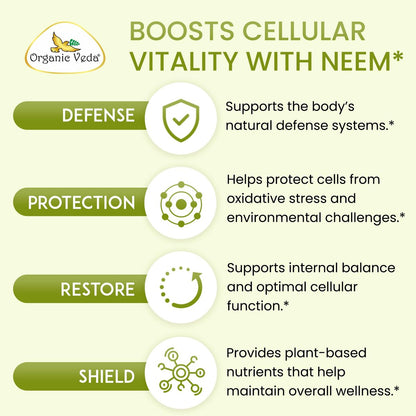Organic Veda Neem Kapseln – Pflanzliches Nahrungsergänzungsmittel für reine Haut, Immunsystem & Darmgesundheit für Männer & Frauen - Single Origin True Green Neem Blattpulver - Reinigendes & klärendes Ayurveda-Kraut, 120 vegane Kapseln