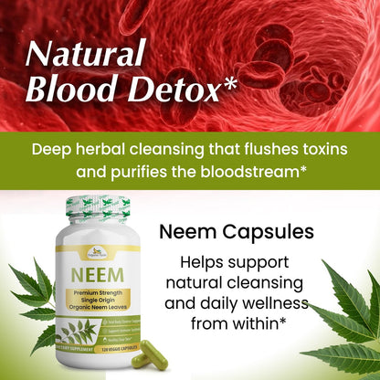 Organic Veda Neem Kapseln – Pflanzliches Nahrungsergänzungsmittel für reine Haut, Immunsystem & Darmgesundheit für Männer & Frauen - Single Origin True Green Neem Blattpulver - Reinigendes & klärendes Ayurveda-Kraut, 120 vegane Kapseln