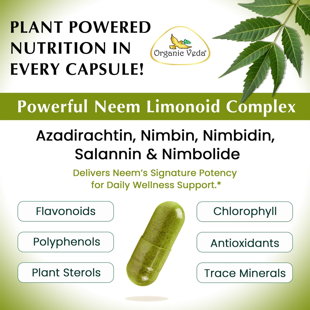 Organic Veda Neem Kapseln – Pflanzliches Nahrungsergänzungsmittel für reine Haut, Immunsystem & Darmgesundheit für Männer & Frauen - Single Origin True Green Neem Blattpulver - Reinigendes & klärendes Ayurveda-Kraut, 120 vegane Kapseln