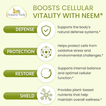 Organic Veda Neem Kapseln – Pflanzliches Nahrungsergänzungsmittel für reine Haut, Immunsystem & Darmgesundheit für Männer & Frauen - Single Origin True Green Neem Blattpulver - Reinigendes & klärendes Ayurveda-Kraut, 120 vegane Kapseln