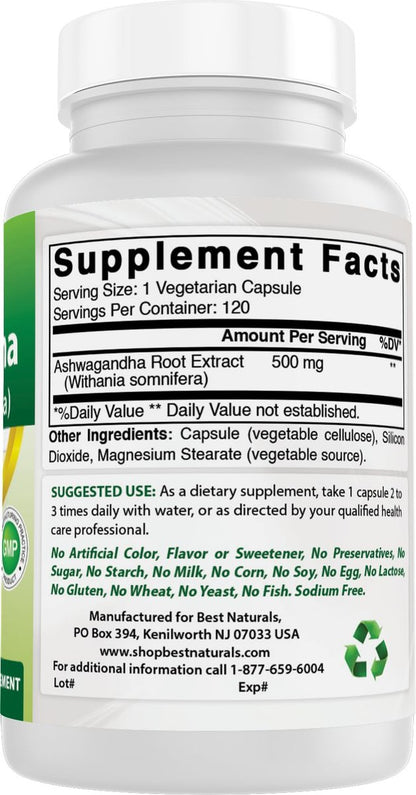 Best Naturals Ashwagandha Extrakt 500 mg, 120 Kapseln (2er-Pack)