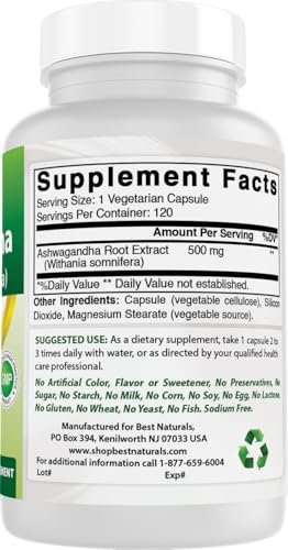 Best Naturals Ashwagandha Extrakt 500 mg, 120 Kapseln (2er-Pack)