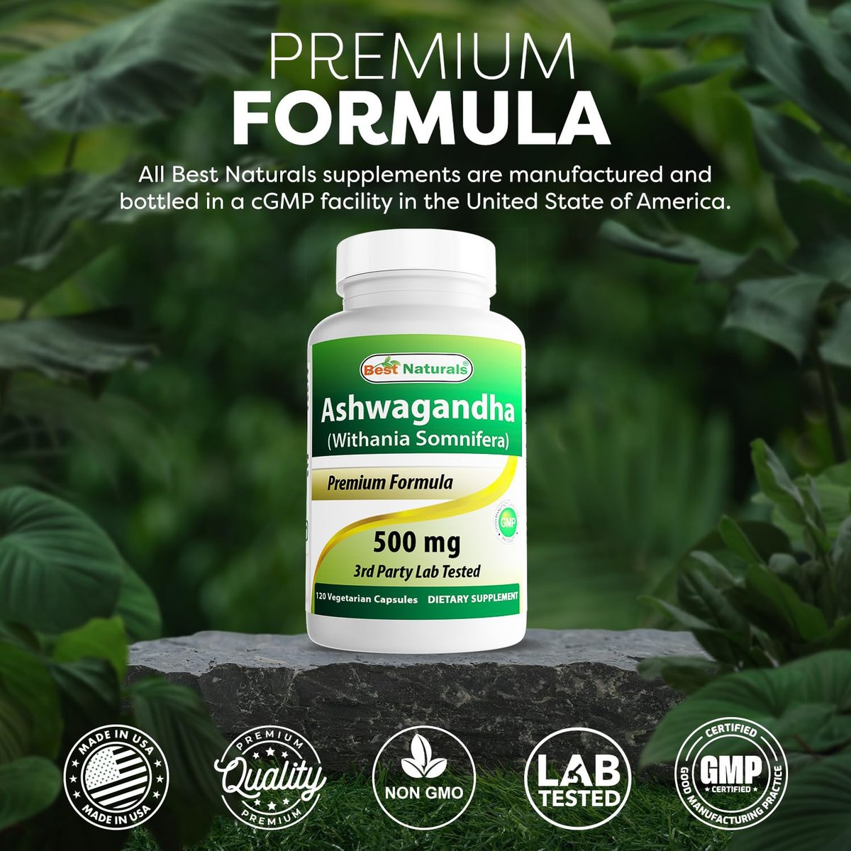 Best Naturals Ashwagandha Extrakt 500 mg, 120 Kapseln (2er-Pack)