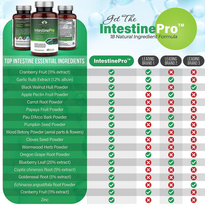 IntestinePro - Darmgesundheit Komplex mit Wermut, Schwarznuss, Nelke, Kürbiskern & 14 weiteren Inhaltsstoffen - 60 vegane Kapseln