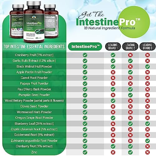 IntestinePro - Darmgesundheit Komplex mit Wermut, Schwarznuss, Nelke, Kürbiskern & 14 weiteren Inhaltsstoffen - 60 vegane Kapseln