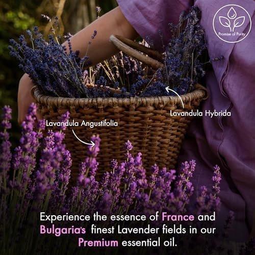 Majestic Pure Lavendel Ätherisches Öl mit Glaspipette - 100% rein und natürlich - 118 ml