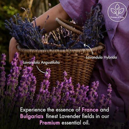 Majestic Pure Lavendel Ätherisches Öl mit Glaspipette - 100% rein und natürlich - 118 ml