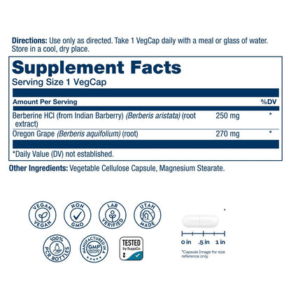 SOLARAY Berberin 250mg – Berberin Nahrungsergänzung für einen gesunden, aktiven Lebensstil – mit Berberin HCl aus Indischer Berberitze plus Oregon-Traube – Vegan, Nicht-GVO, 60-Tage-Garantie – 60 Portionen, 60 VegKaps