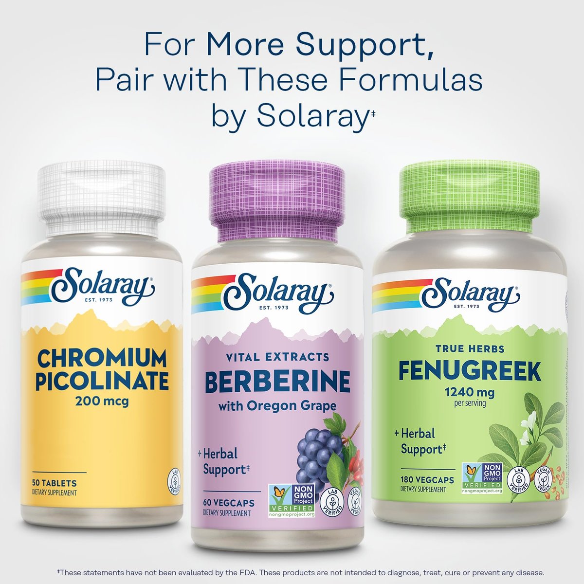 SOLARAY Berberin 250mg – Berberin Nahrungsergänzung für einen gesunden, aktiven Lebensstil – mit Berberin HCl aus Indischer Berberitze plus Oregon-Traube – Vegan, Nicht-GVO, 60-Tage-Garantie – 60 Portionen, 60 VegKaps
