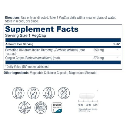 SOLARAY Berberin 250mg – Berberin Nahrungsergänzung für einen gesunden, aktiven Lebensstil – mit Berberin HCl aus Indischer Berberitze plus Oregon-Traube – Vegan, Nicht-GVO, 60-Tage-Garantie – 60 Portionen, 60 VegKaps