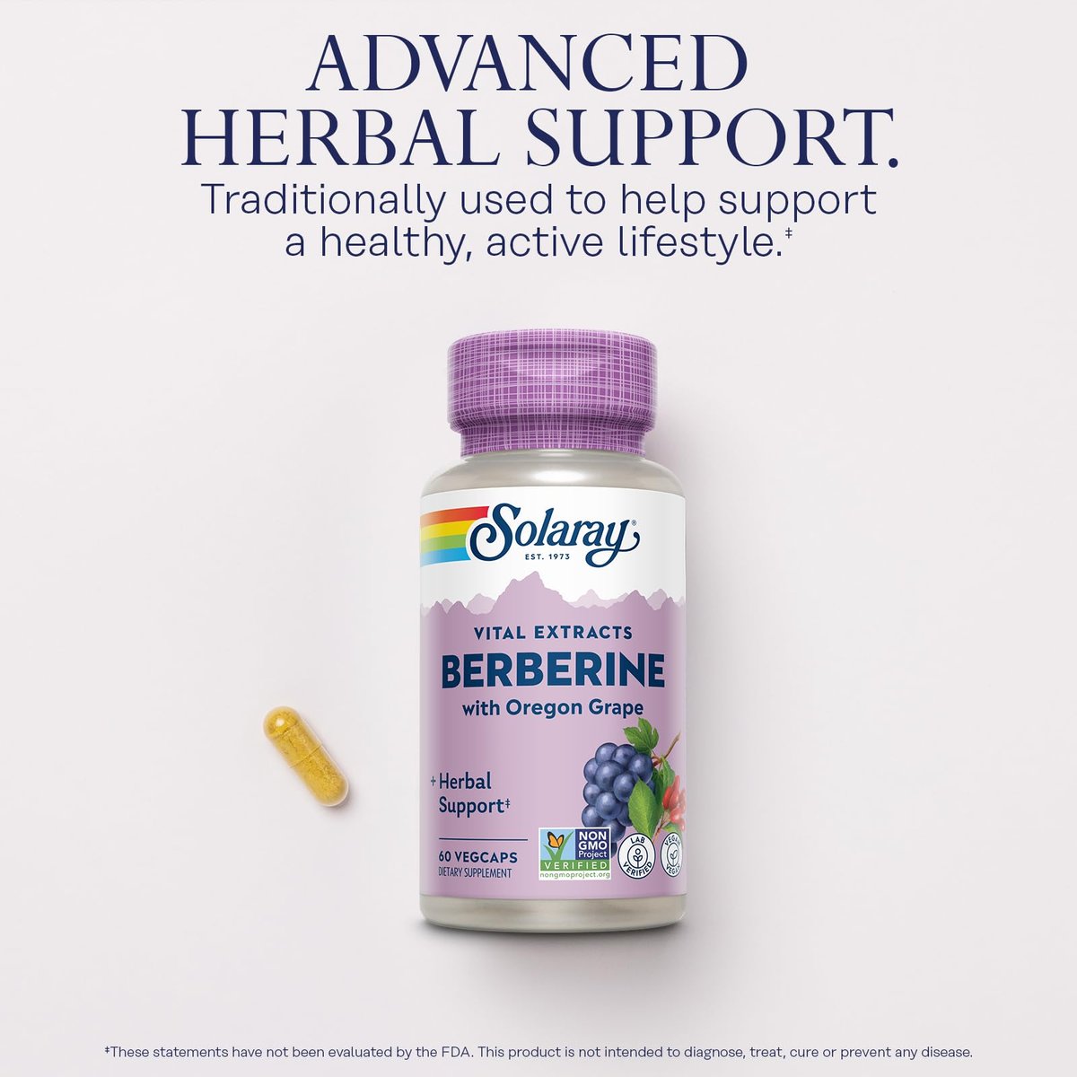 SOLARAY Berberin 250mg – Berberin Nahrungsergänzung für einen gesunden, aktiven Lebensstil – mit Berberin HCl aus Indischer Berberitze plus Oregon-Traube – Vegan, Nicht-GVO, 60-Tage-Garantie – 60 Portionen, 60 VegKaps